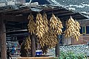 DSC_0111.JPG