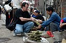 DSC_0246.JPG