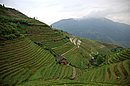 DSC_1125.JPG