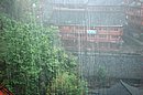 DSC_1134.JPG