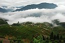 DSC_1187.JPG