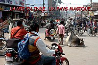 DSC_0004.jpg
