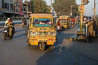 DSC_0203.JPG