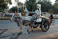 DSC_0207.JPG
