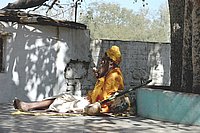DSC_0471.JPG