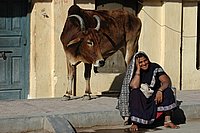 DSC_0494.JPG