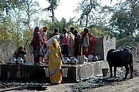 DSC_0527.JPG