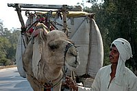 DSC_1231.JPG