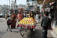 DSC_1253.JPG