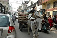 DSC_1260.JPG