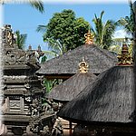 DSC_0297.JPG