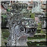 DSC_0317.JPG