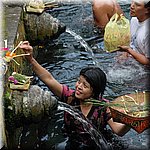 DSC_0339.JPG