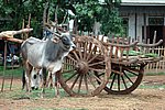 DSC_0503.JPG