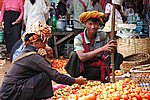 DSC_0512.JPG