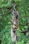 DSC_1556.JPG