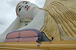 DSC_1626.JPG