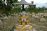 DSC_1652.JPG