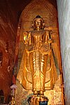 DSC_1771.JPG