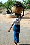 DSC_1806.JPG