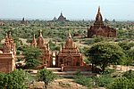 DSC_1826.JPG