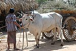 DSC_1849.JPG