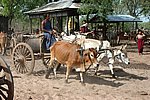 DSC_1969.JPG