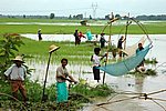 DSC_1996.JPG
