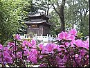chine0013.jpg