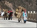 chine0243.jpg
