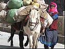 chine0244.jpg
