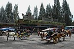 DSC_0421.JPG