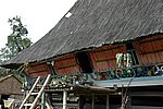 DSC_0435.JPG