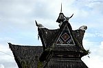 DSC_0469.JPG