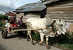 DSC_0471.JPG