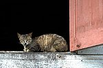 DSC_0473.JPG