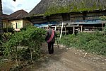 DSC_0475.JPG