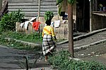 DSC_0478.JPG