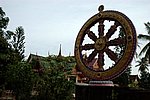 DSC_1530.JPG