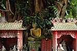DSC_1544.JPG