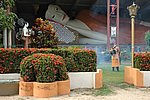DSC_1546.JPG
