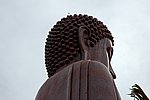 DSC_1556.JPG