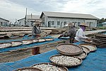 DSC_1560.JPG