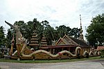 DSC_1575.JPG