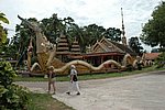 DSC_1577.JPG