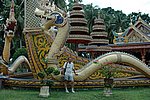 DSC_1579.JPG