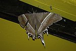 DSC_1604.JPG