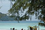 DSC_1607.JPG