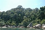 DSC_1636.JPG