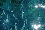 DSC_1669.JPG